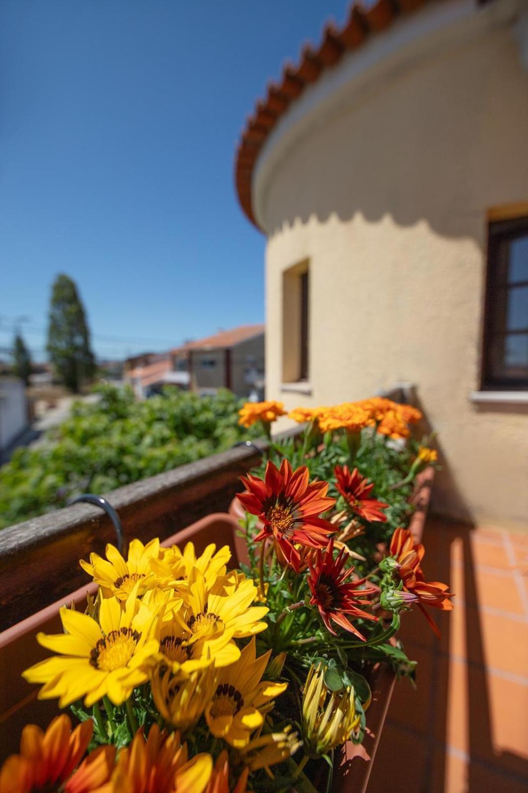 Villa Salgado Gafanha da Nazaré Zewnętrze zdjęcie